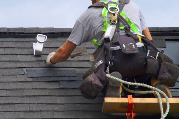 Best Roof Gutter Cleaning  in Ridgefield, NJ